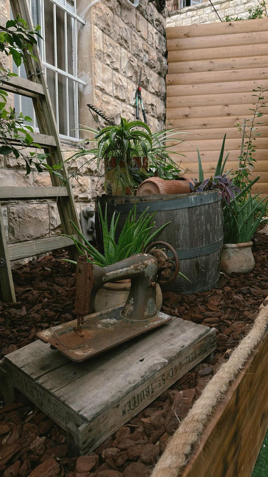 Dream House Art Hostel Garden And Terrace Haifa Exterior foto